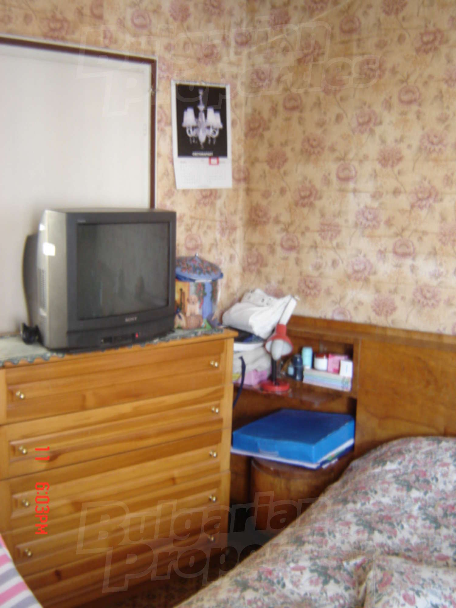 Gallery Picture 27