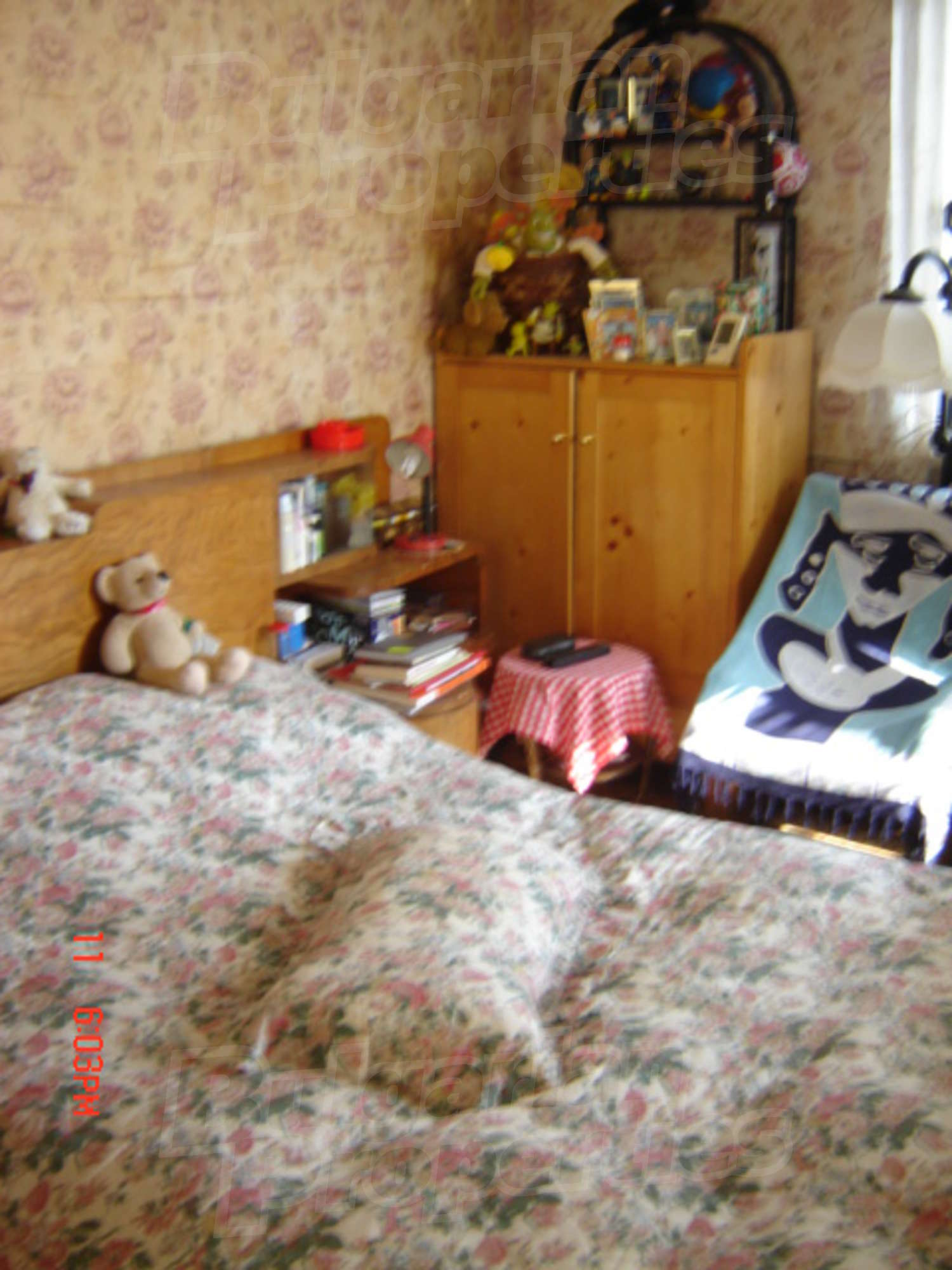 Gallery Picture 28