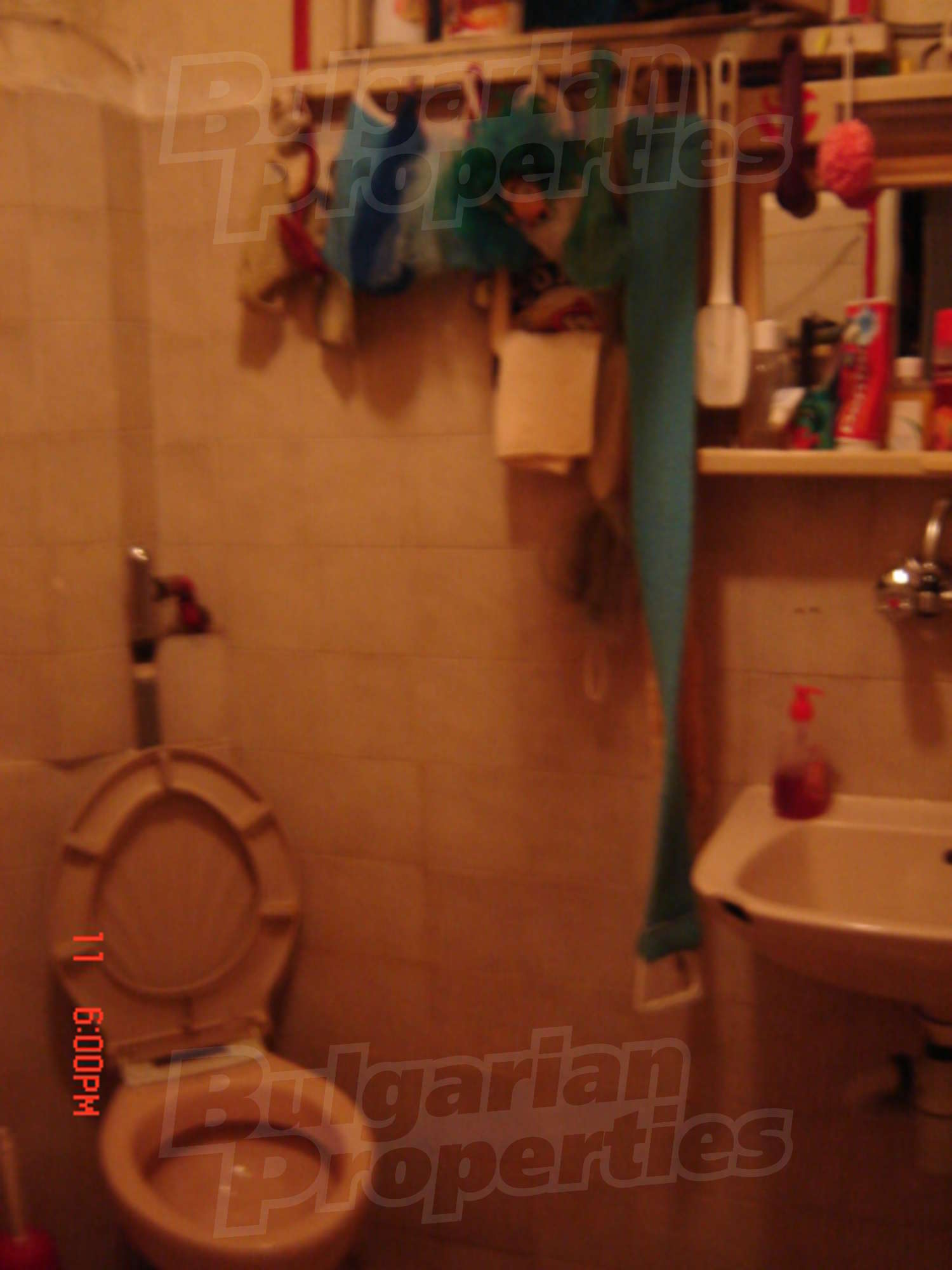 Gallery Picture 31