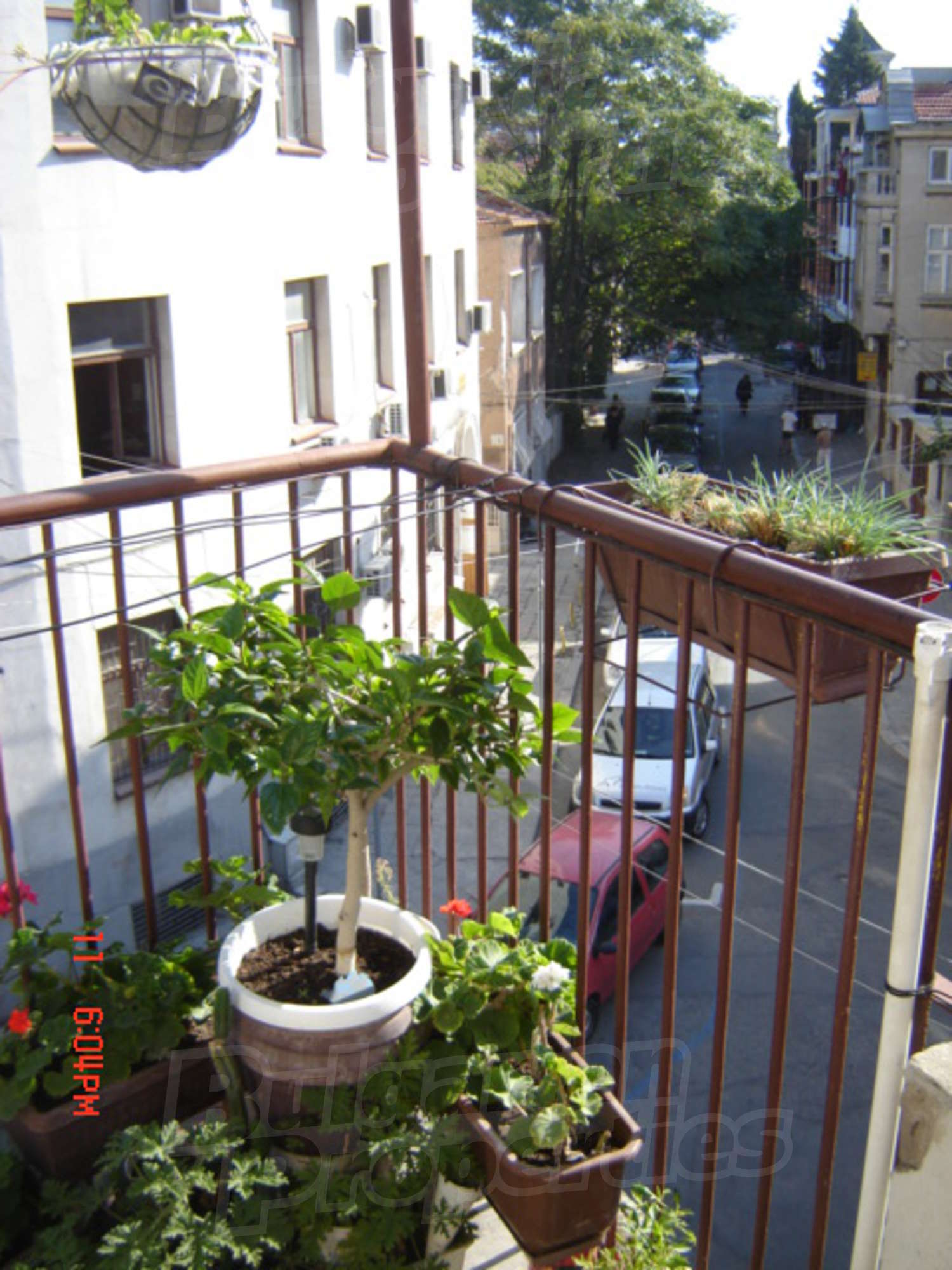 Gallery Picture 33