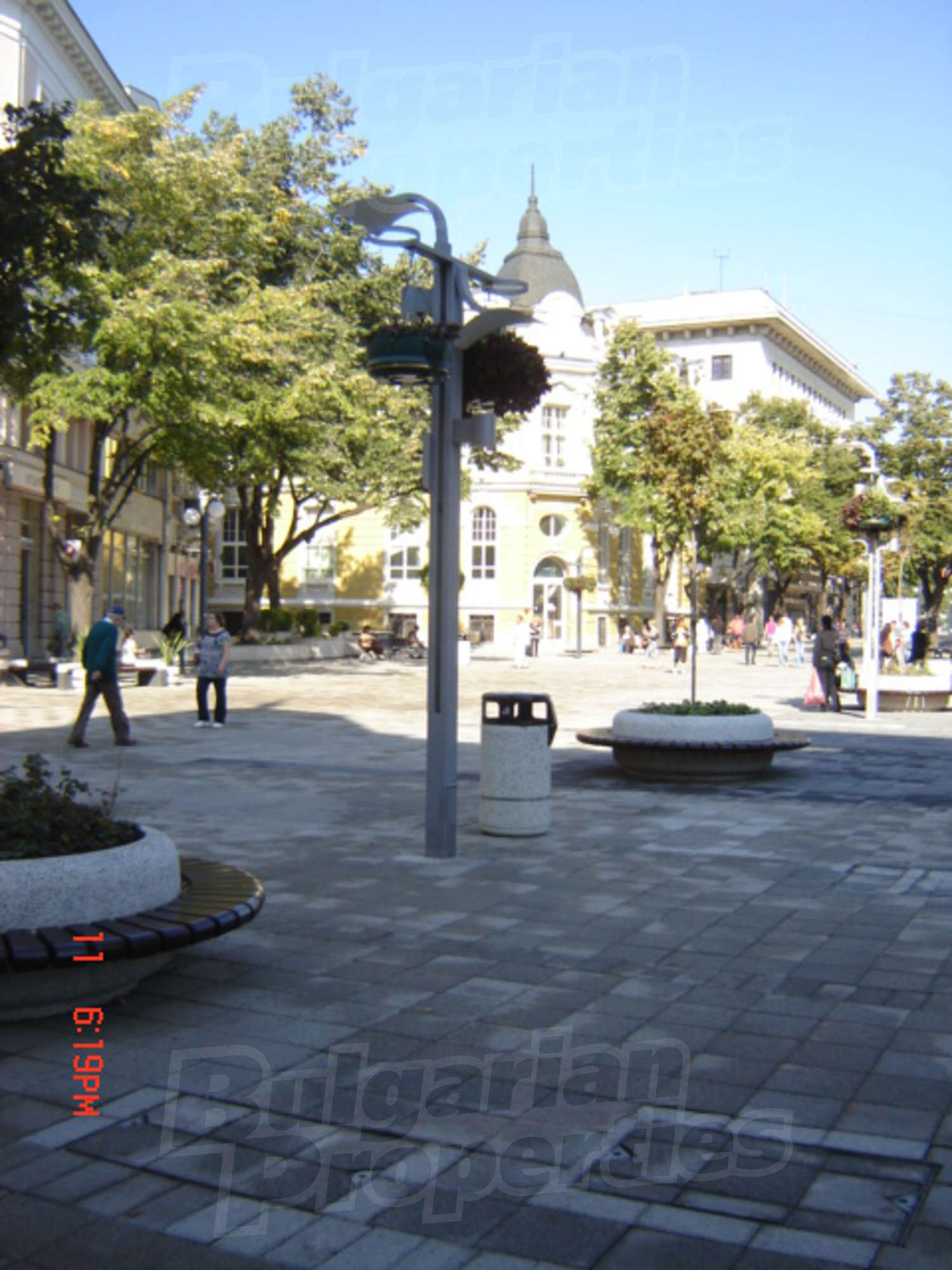 Gallery Picture 41