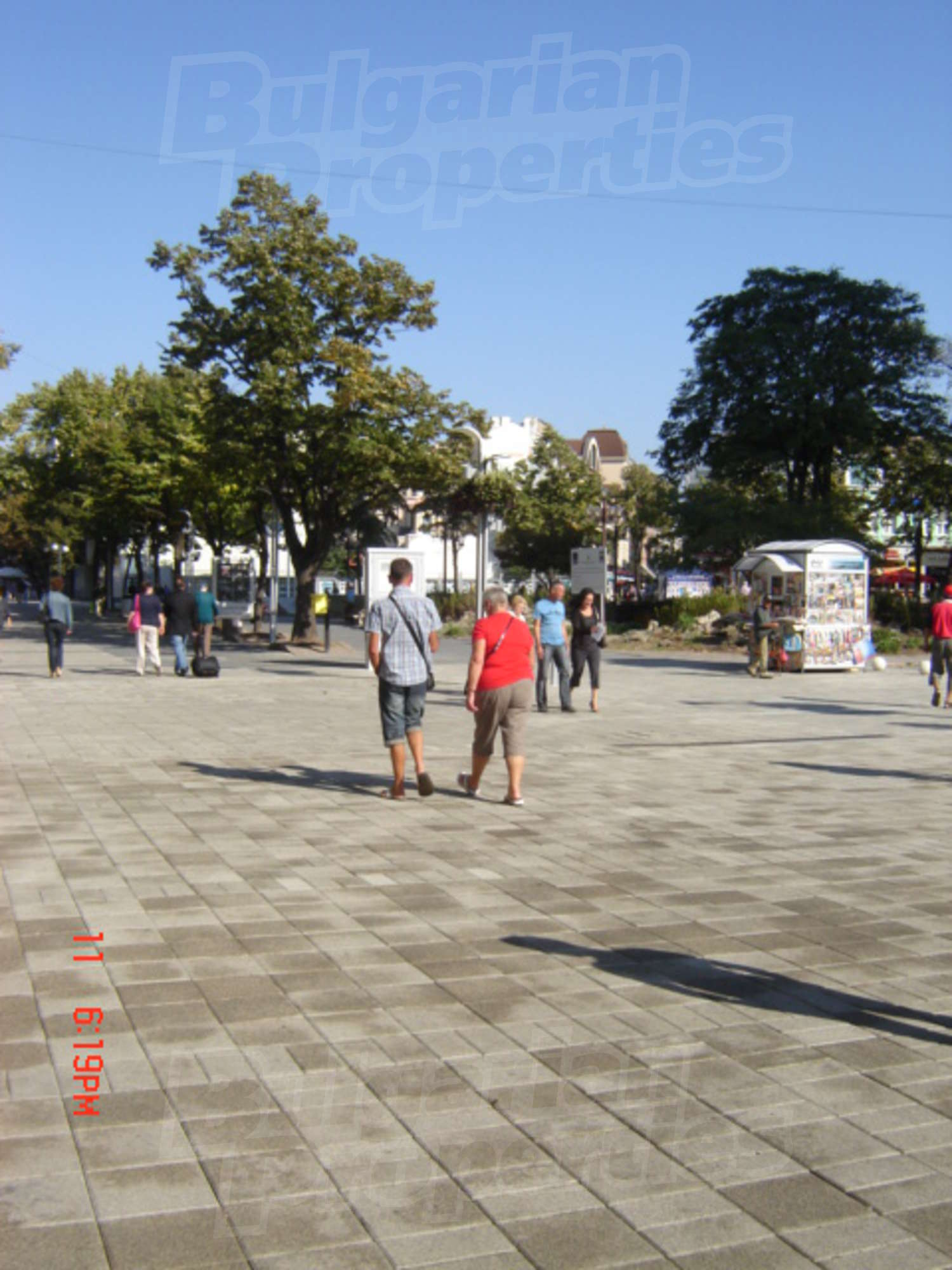 Gallery Picture 44