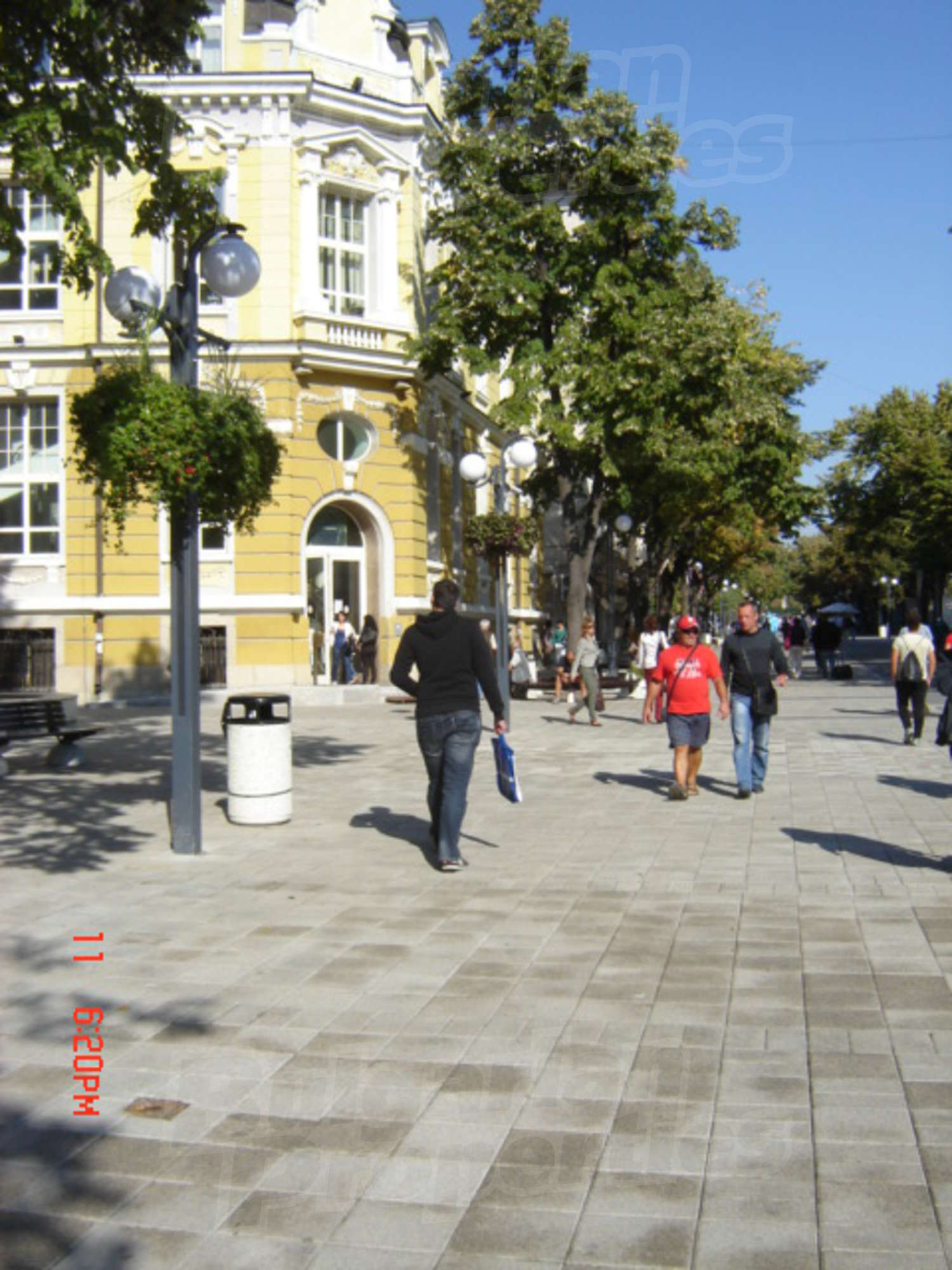 Gallery Picture 45