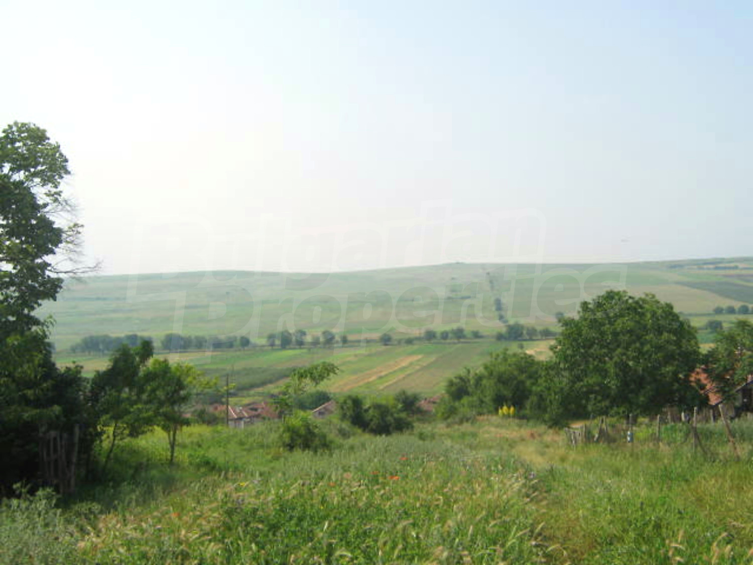 Gallery Picture 10