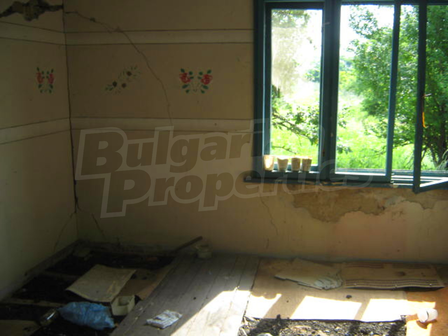 Gallery Picture 5