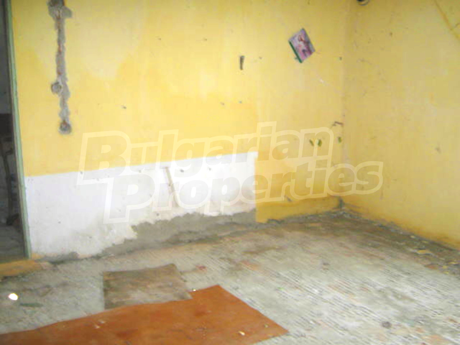 Gallery Picture 6