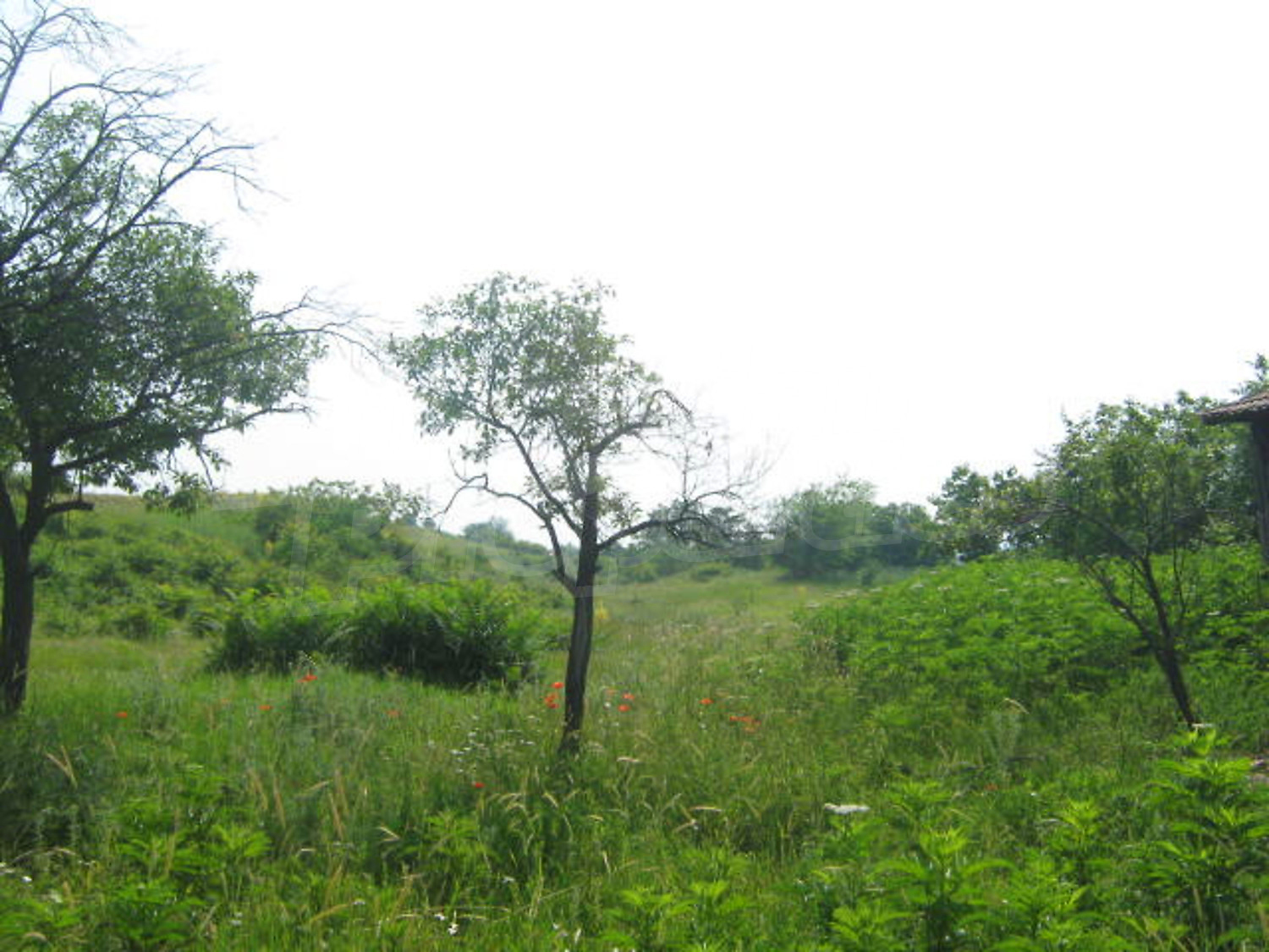 Gallery Picture 8