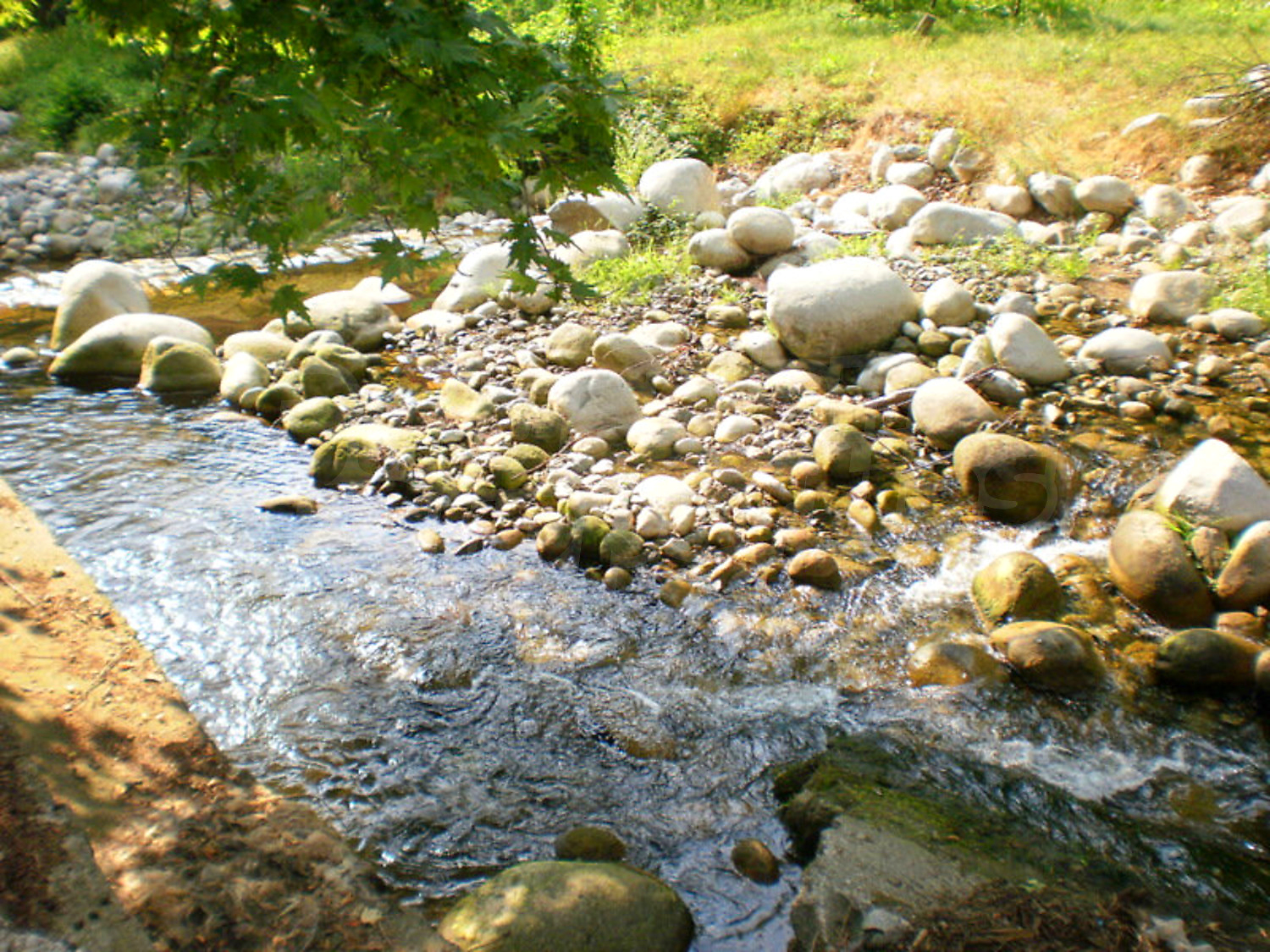 Gallery Picture 6