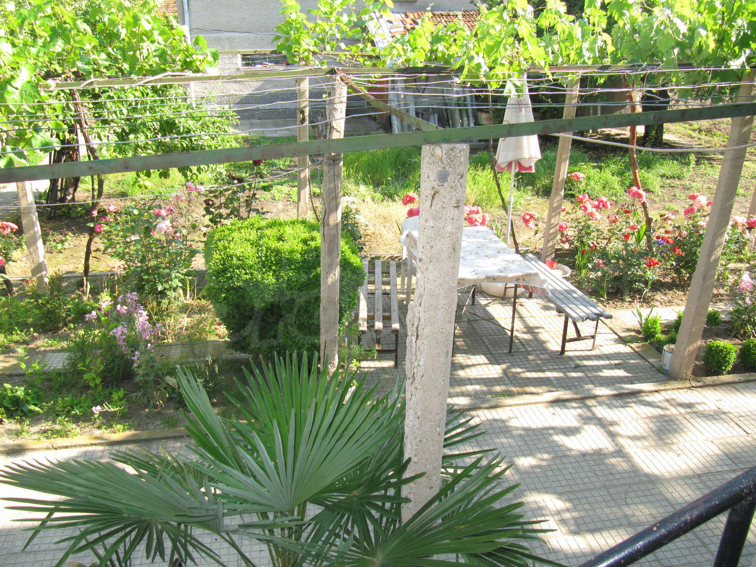 Gallery Picture 11