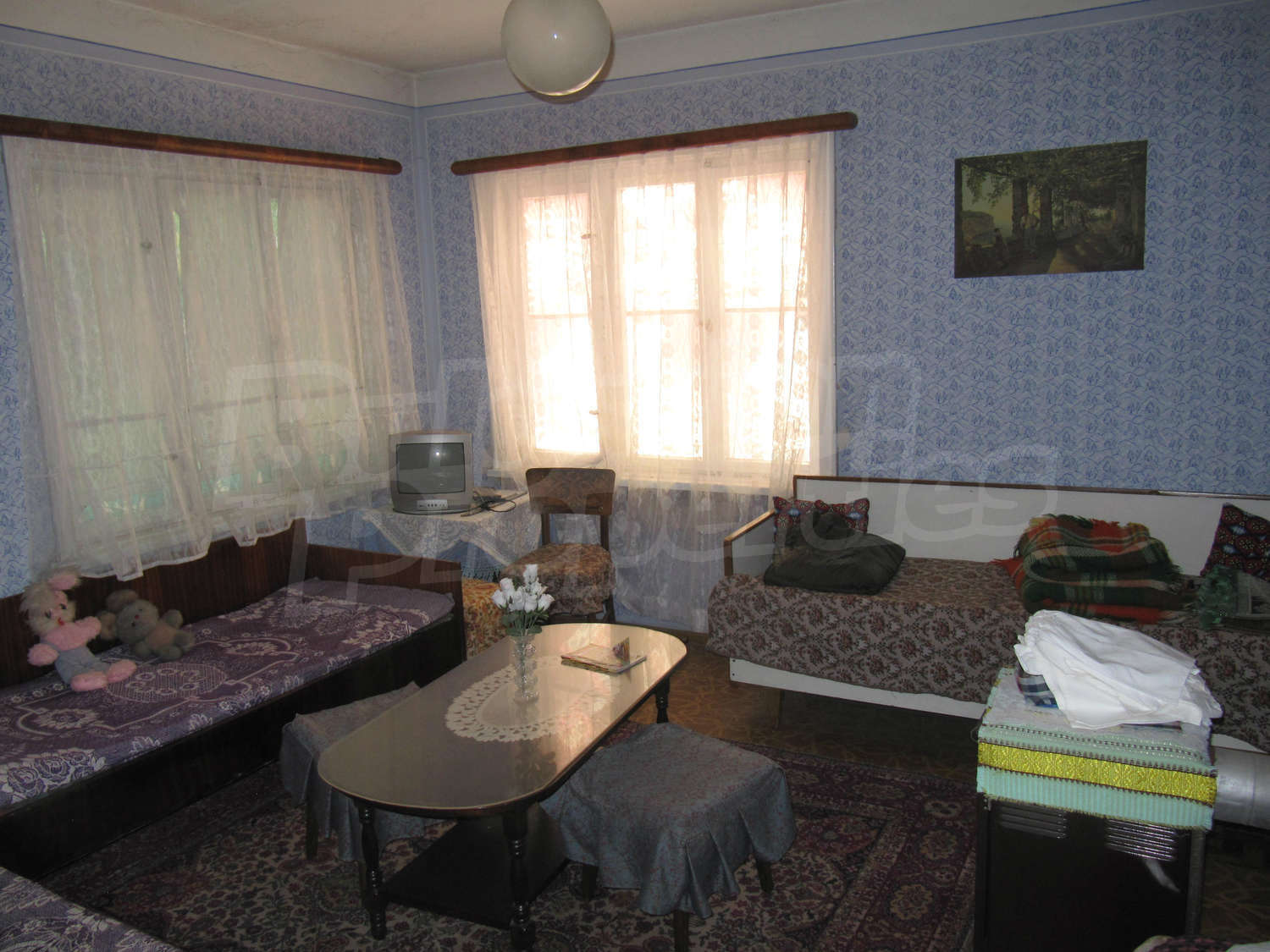 Gallery Picture 17
