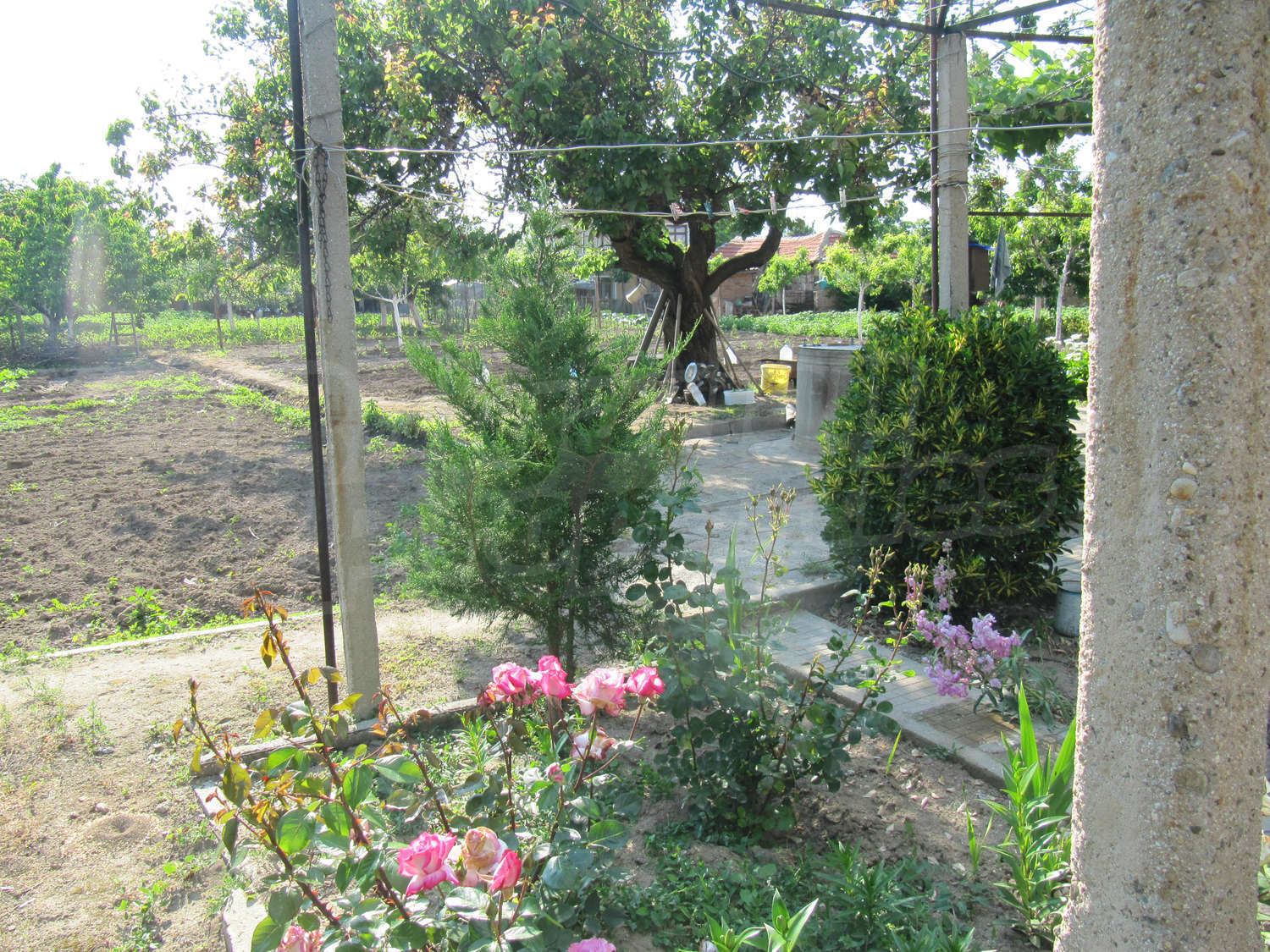 Gallery Picture 20