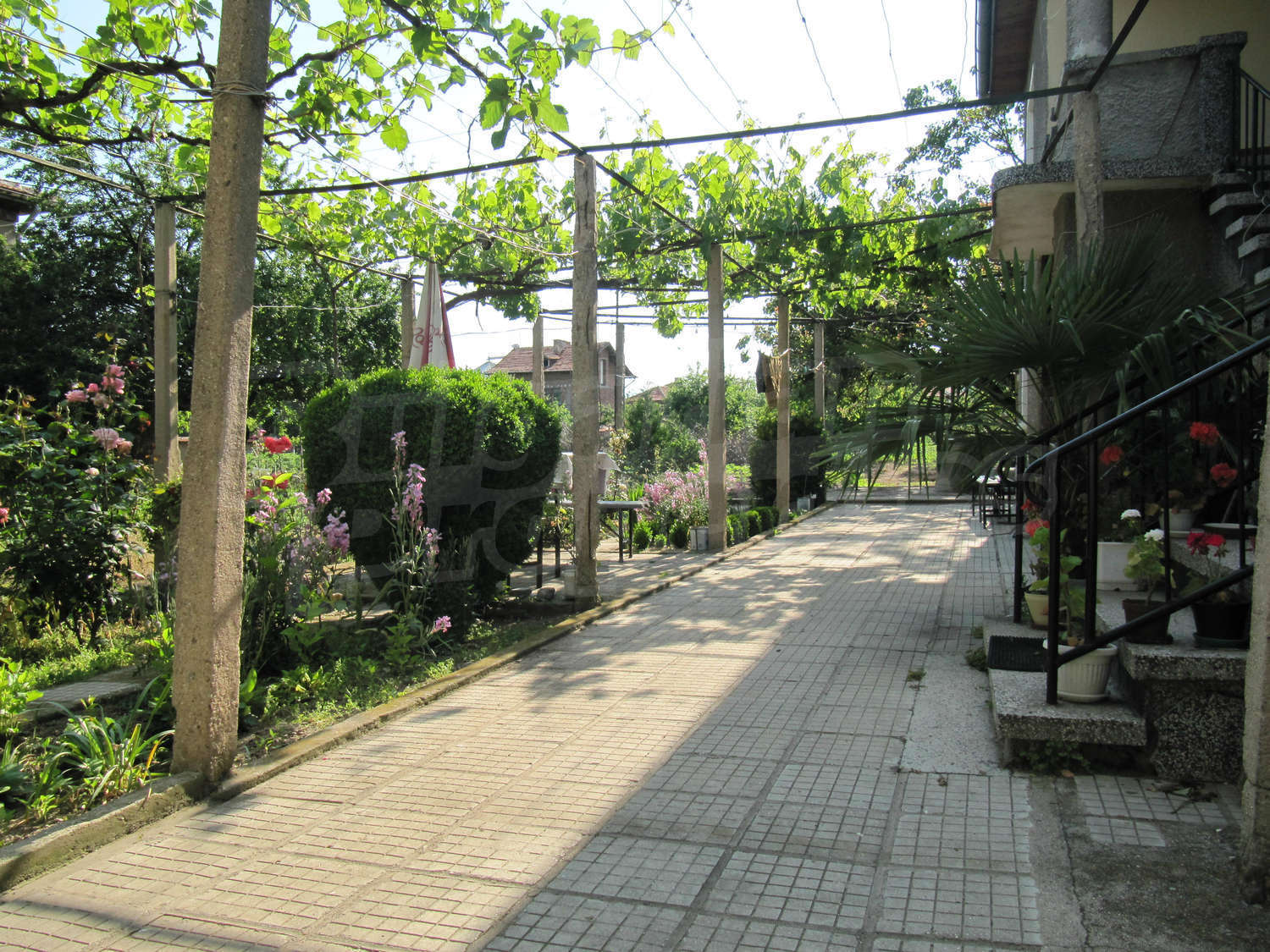 Gallery Picture 26