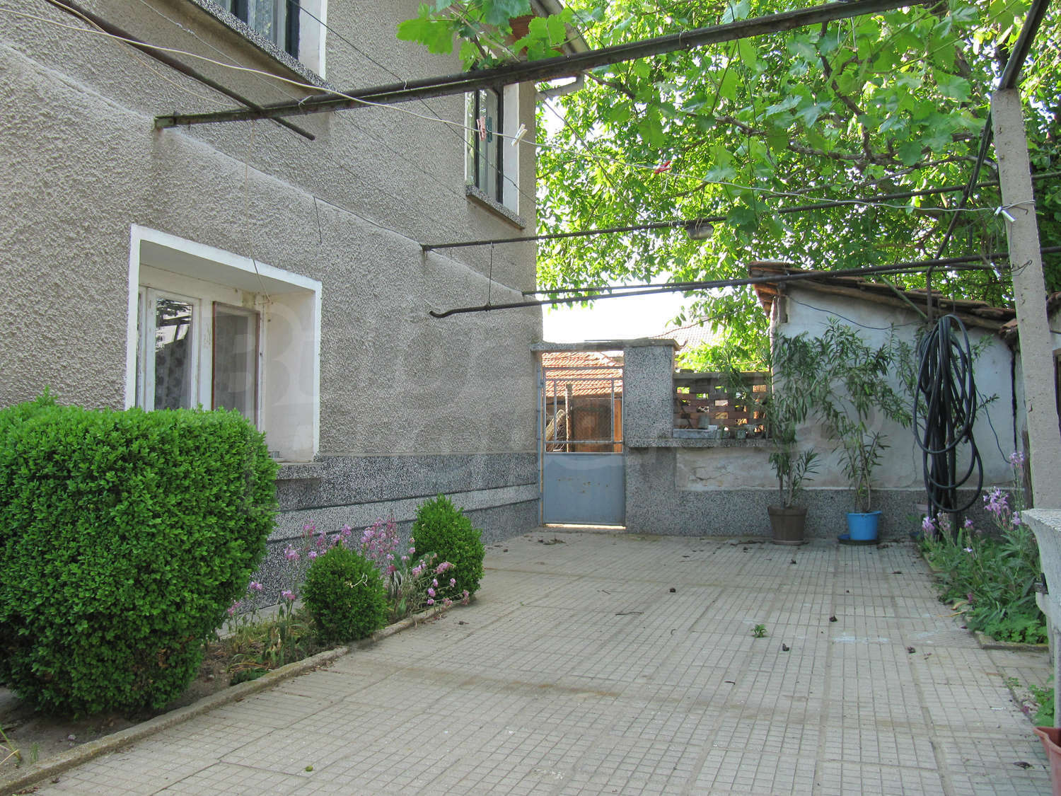 Gallery Picture 27