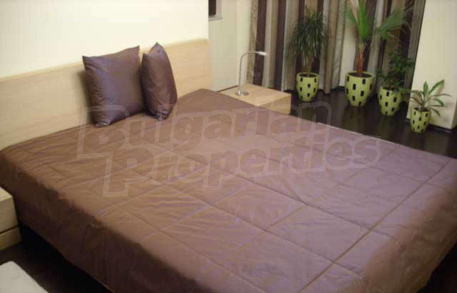 Gallery Picture 2