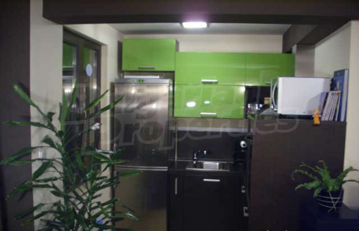 Gallery Picture 9