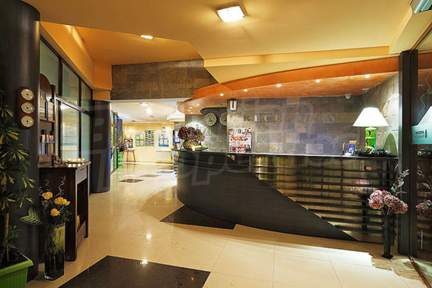 Gallery Picture 9
