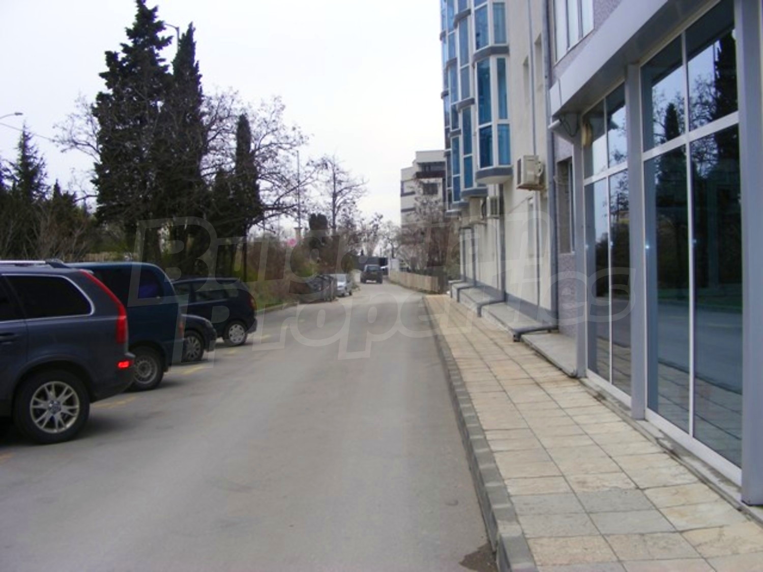 Gallery Picture 15