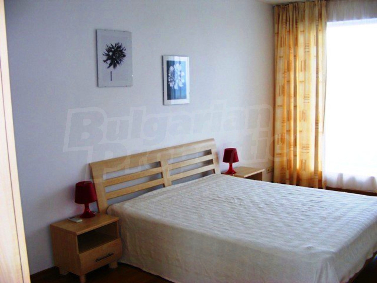 Gallery Picture 6