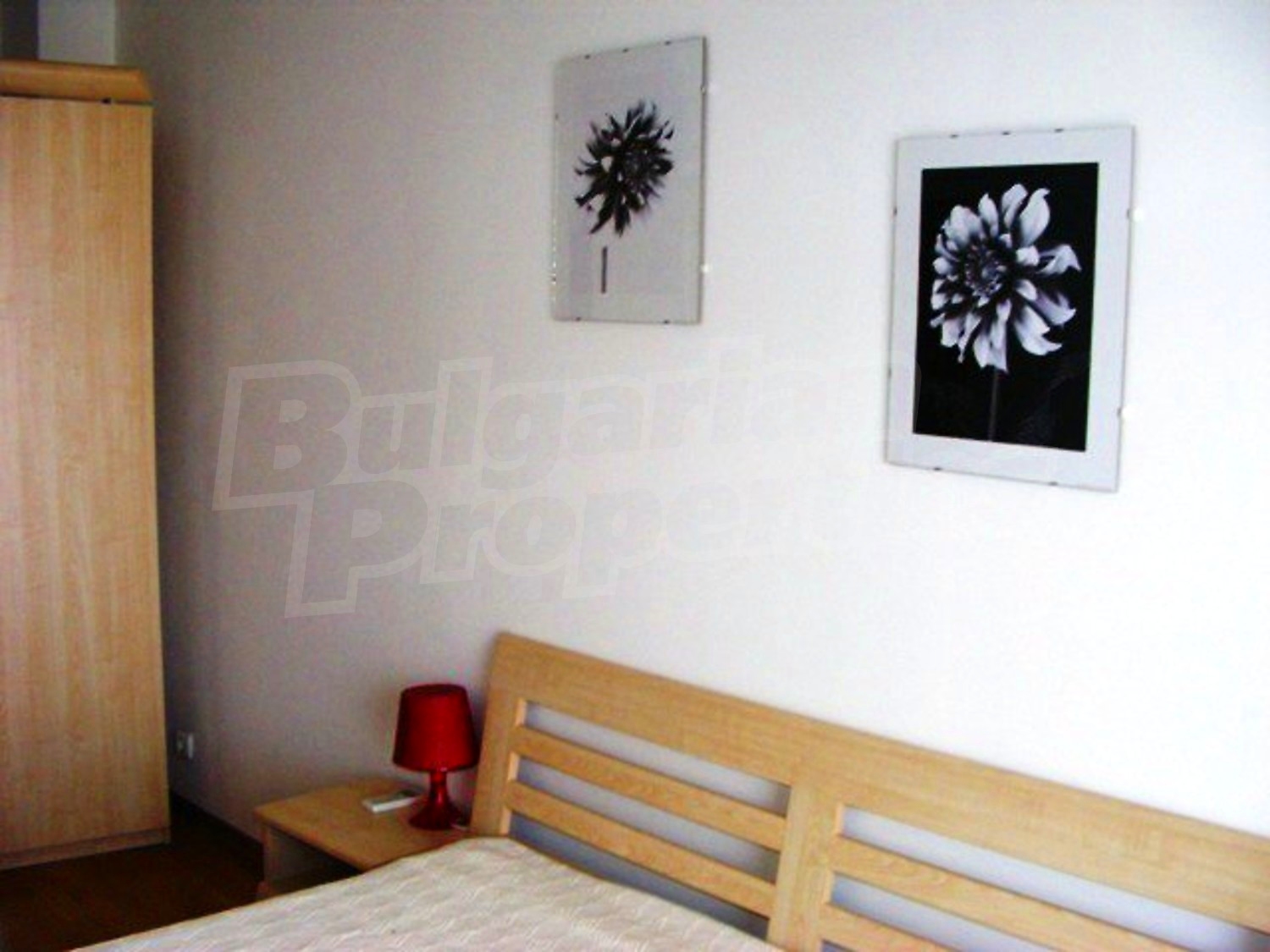 Gallery Picture 9