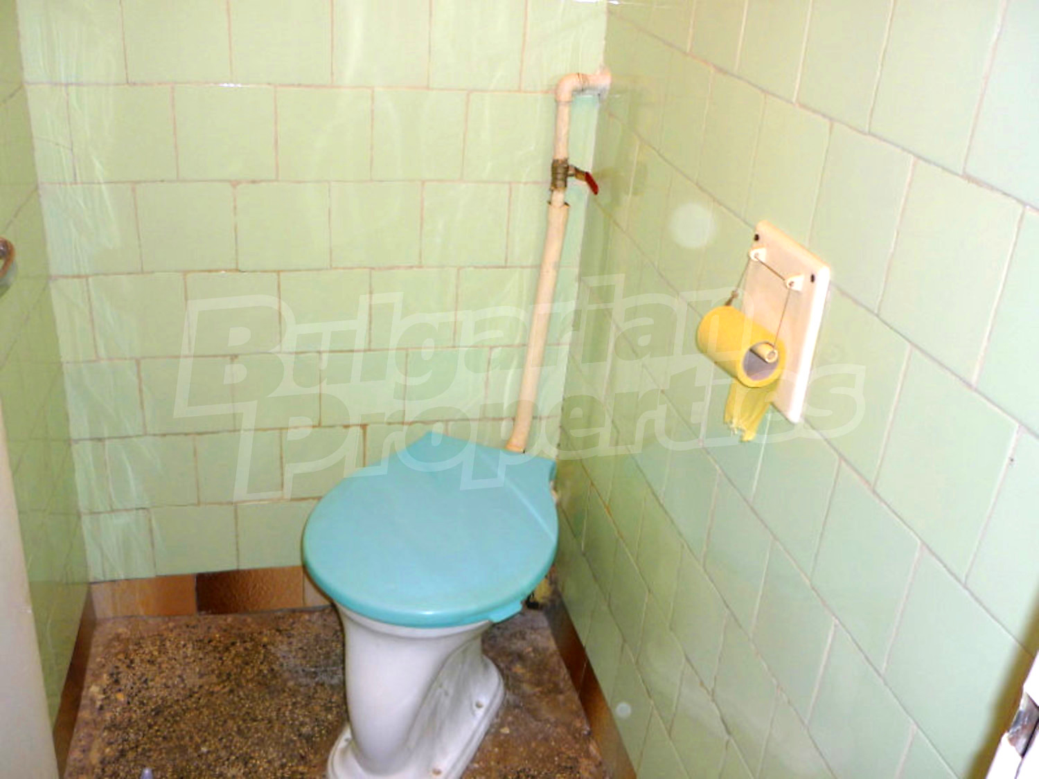 Gallery Picture 12