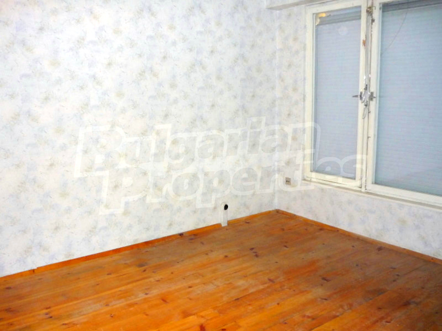 Gallery Picture 2