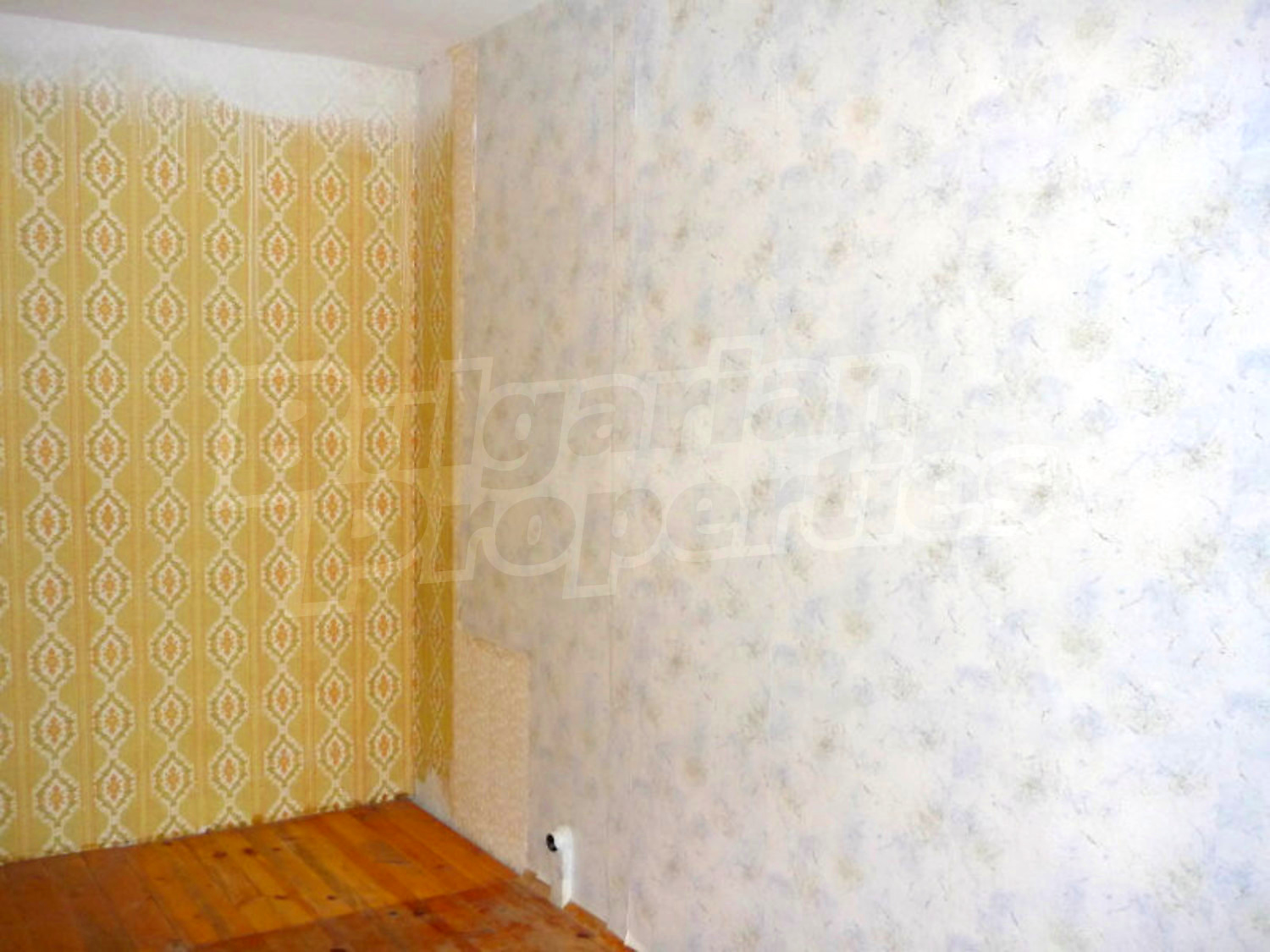 Gallery Picture 3