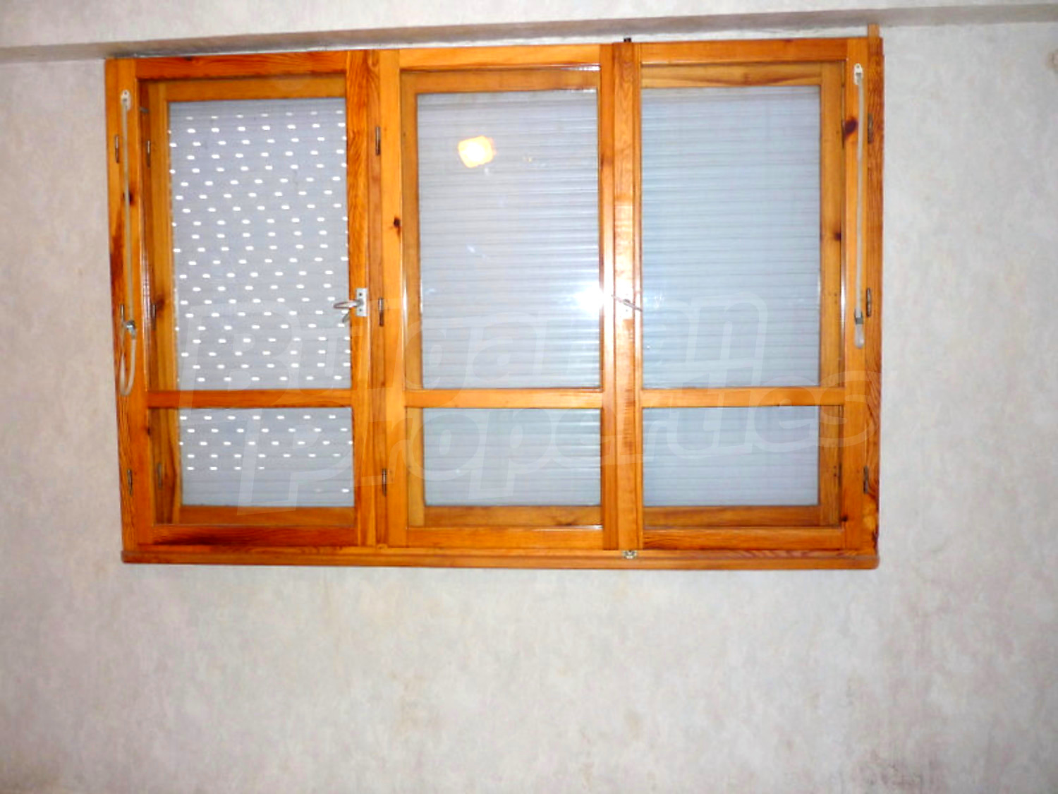 Gallery Picture 5