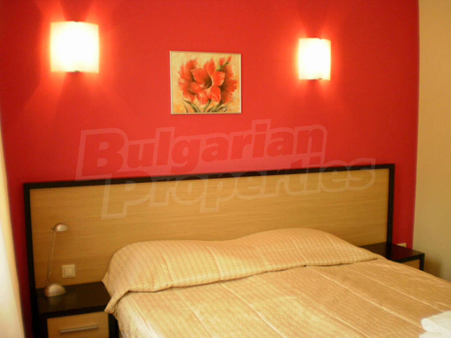 Gallery Picture 12