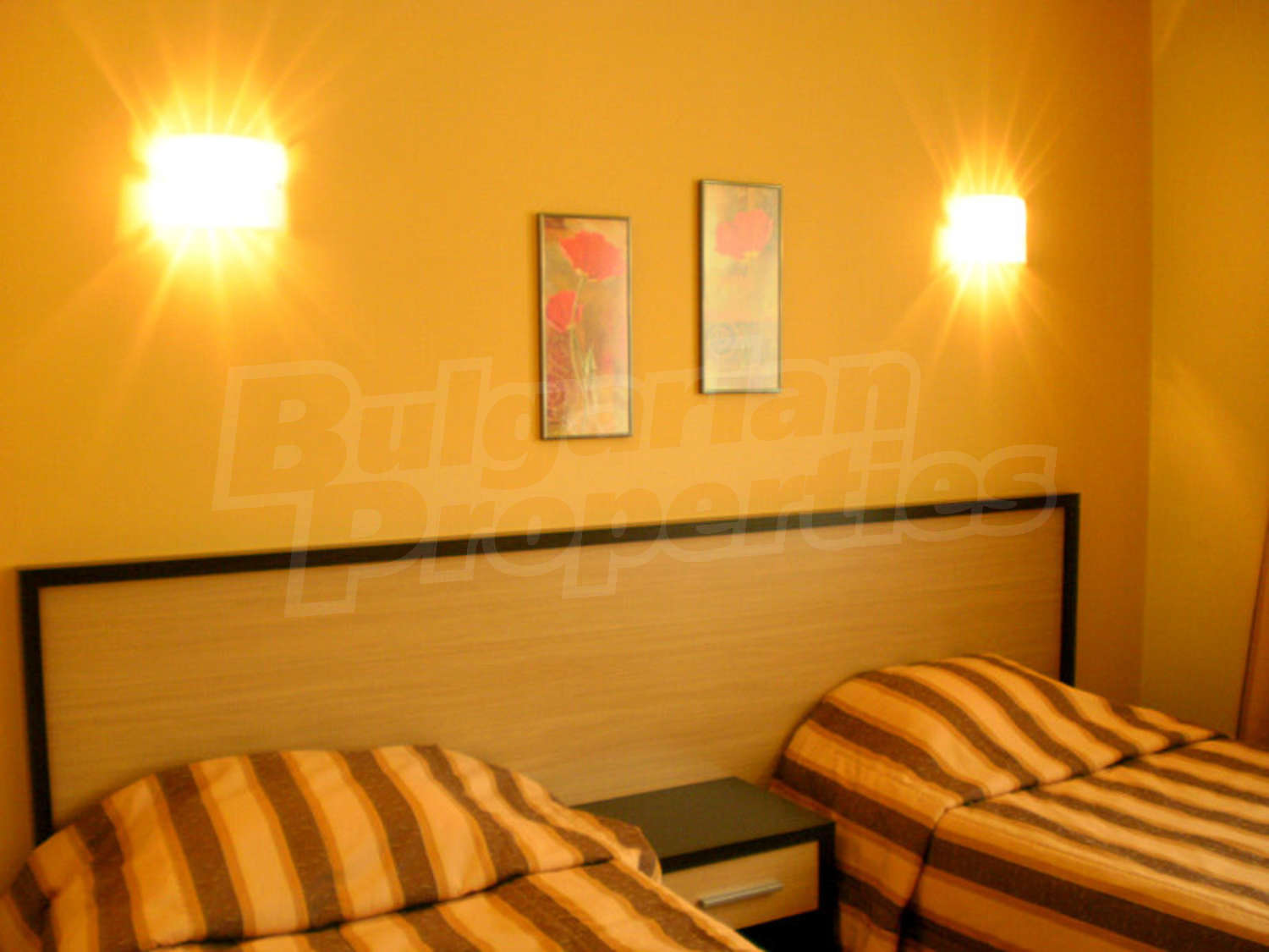 Gallery Picture 6