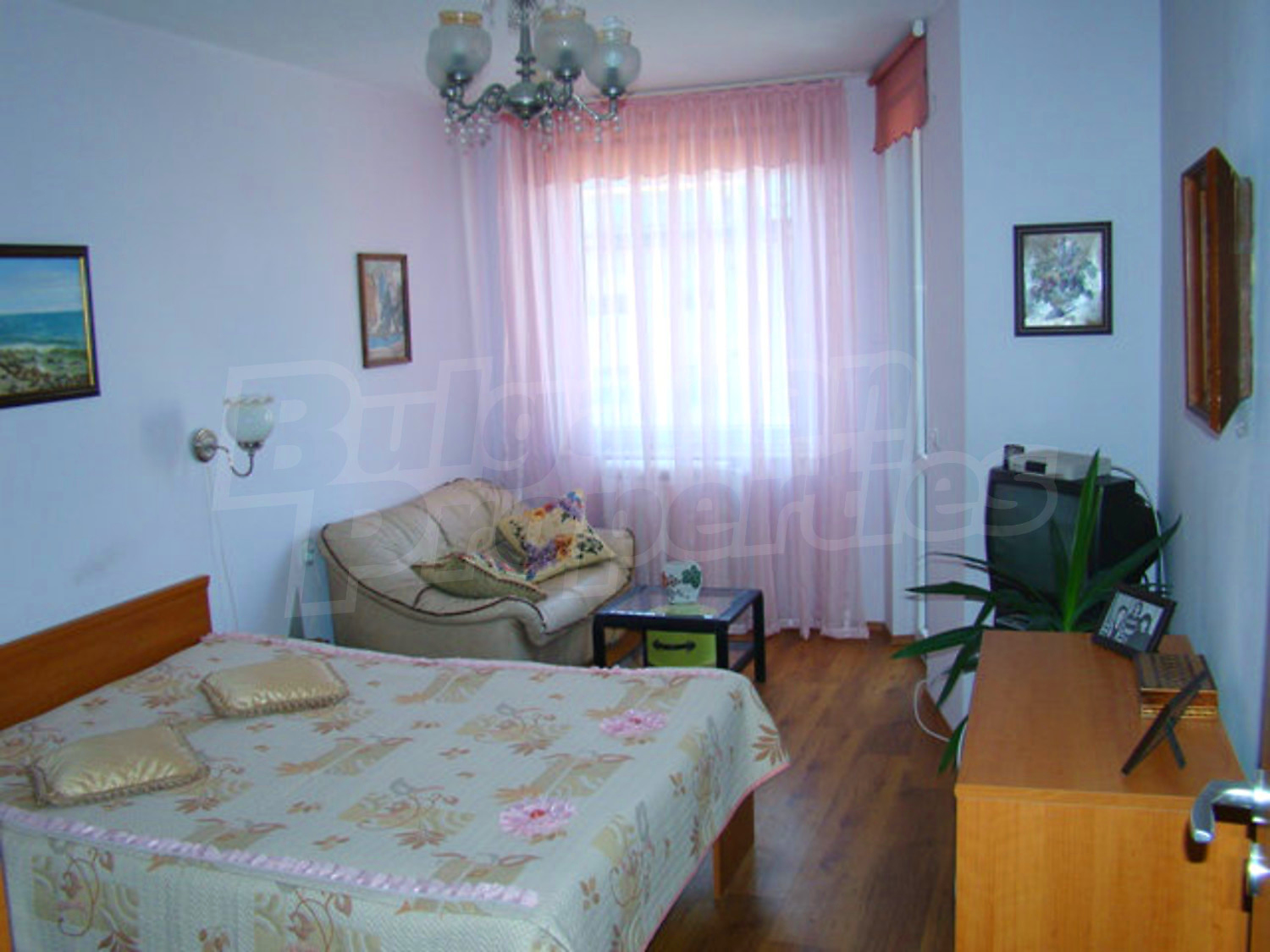 Gallery Picture 21