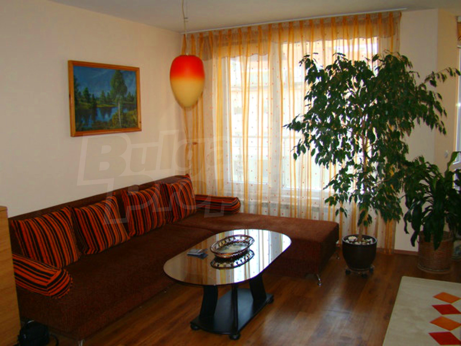 Gallery Picture 7