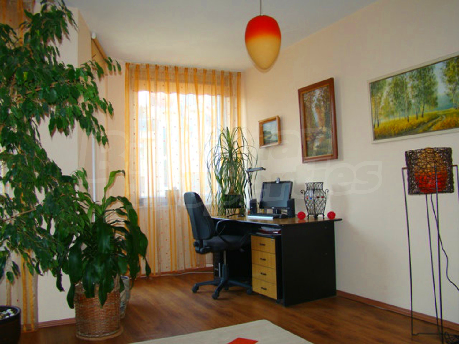 Gallery Picture 8