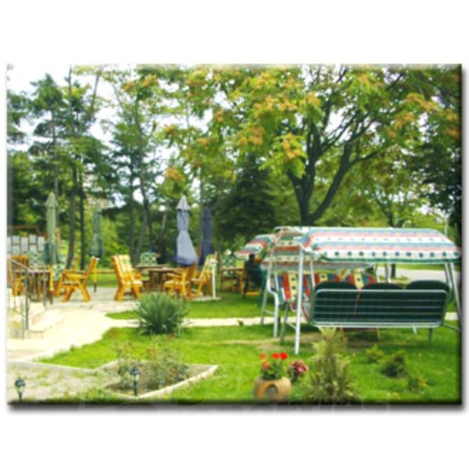 Gallery Picture 7