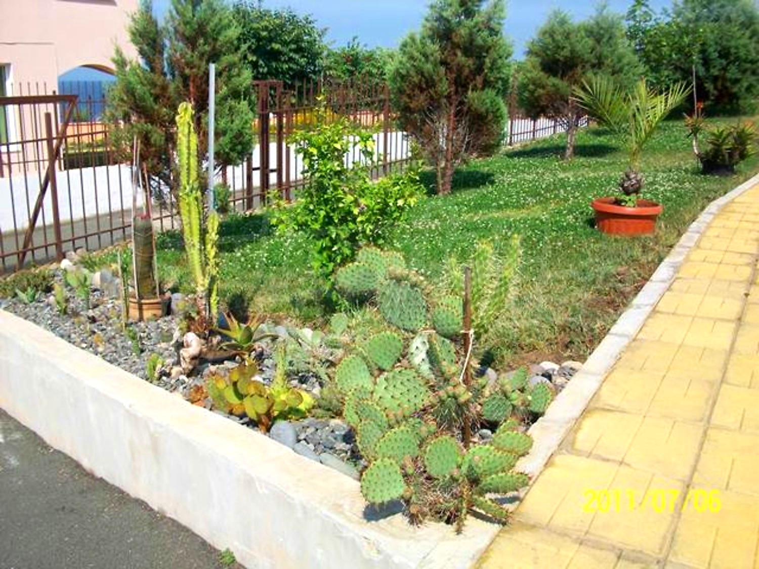 Gallery Picture 40