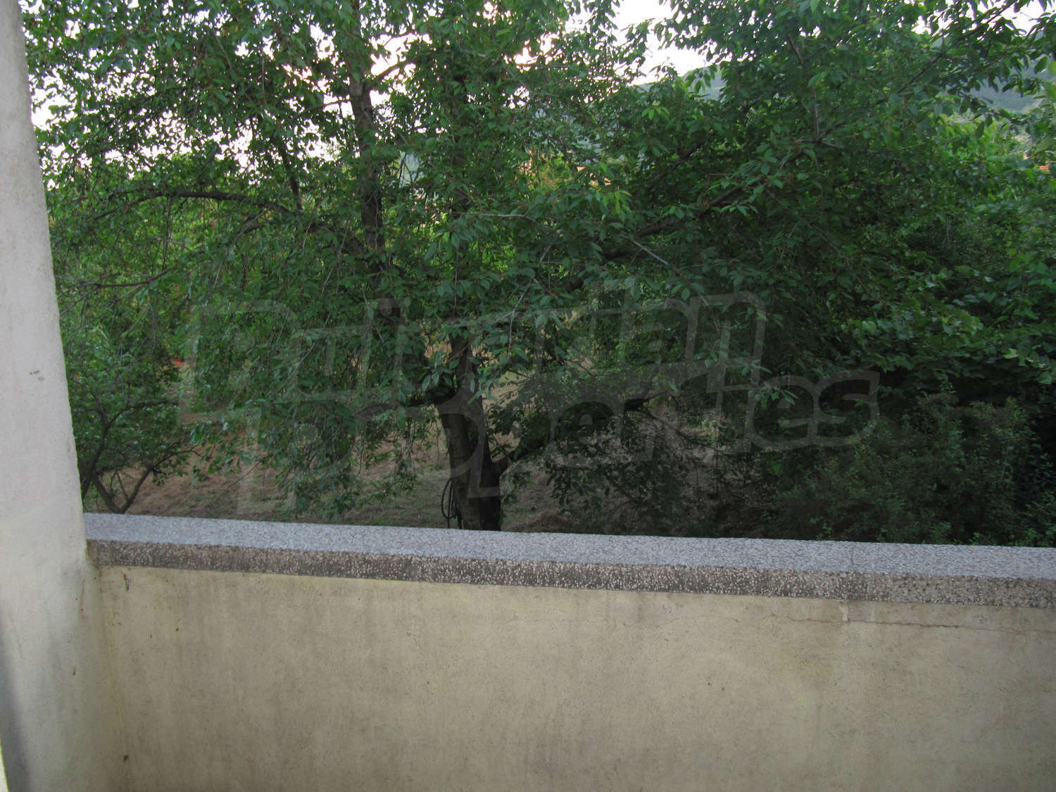 Gallery Picture 12