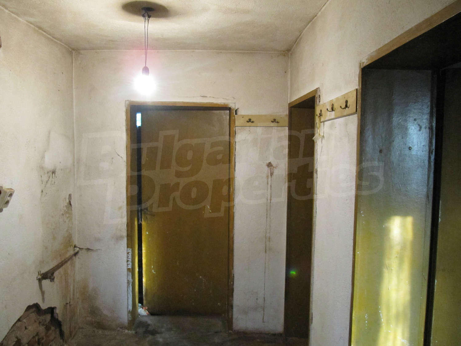 Gallery Picture 19