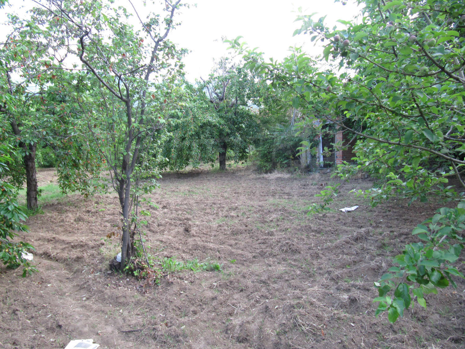 Gallery Picture 23