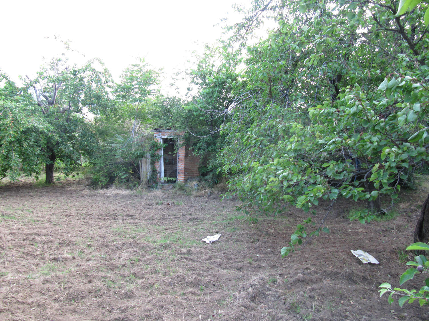 Gallery Picture 24