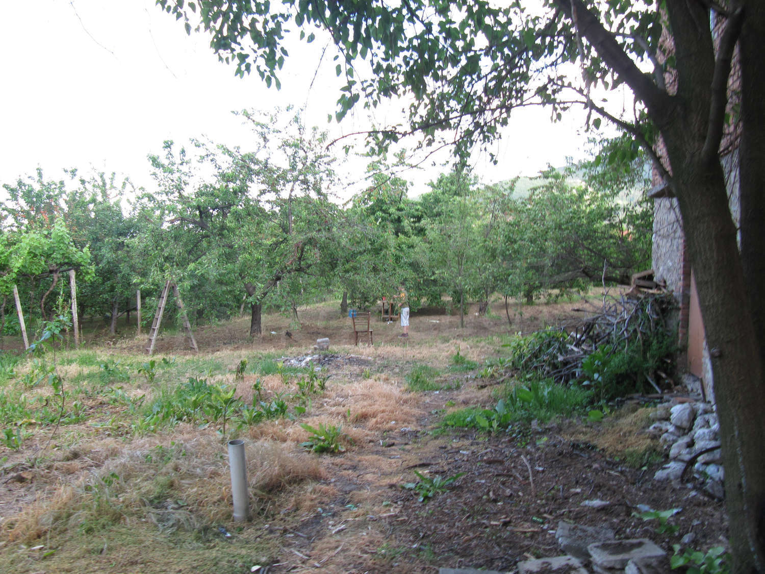 Gallery Picture 25