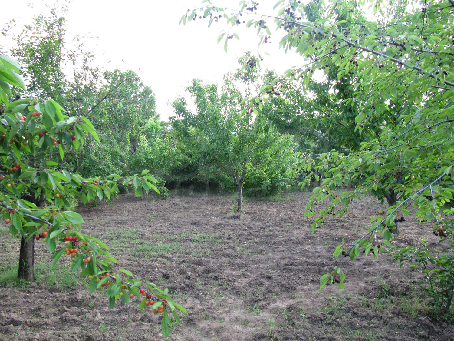 Gallery Picture 35