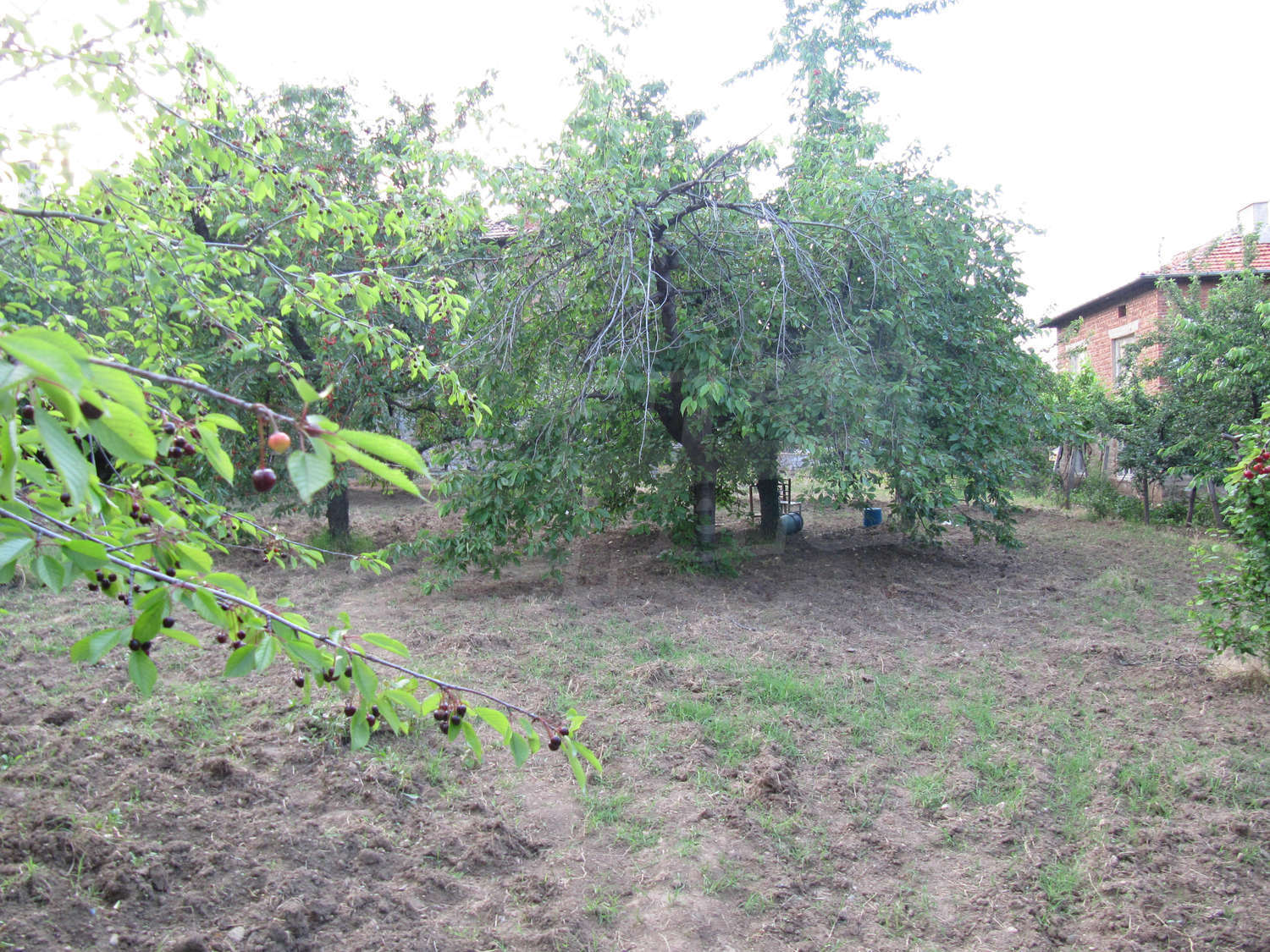 Gallery Picture 36