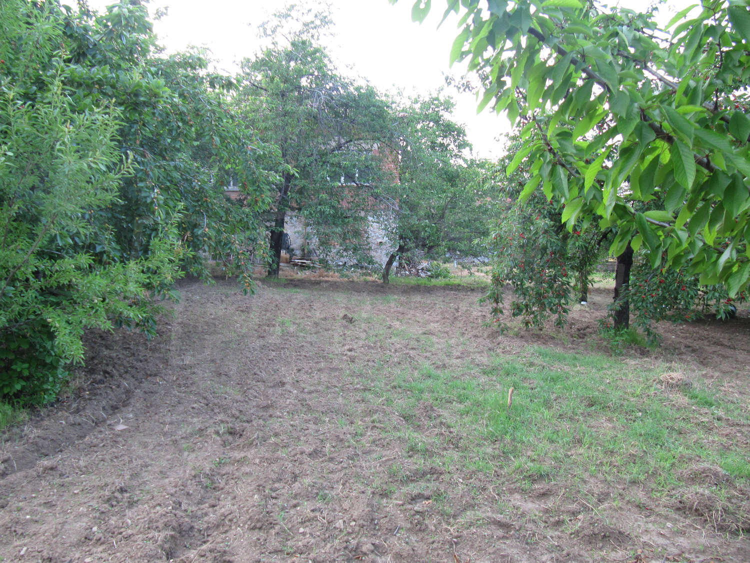 Gallery Picture 38