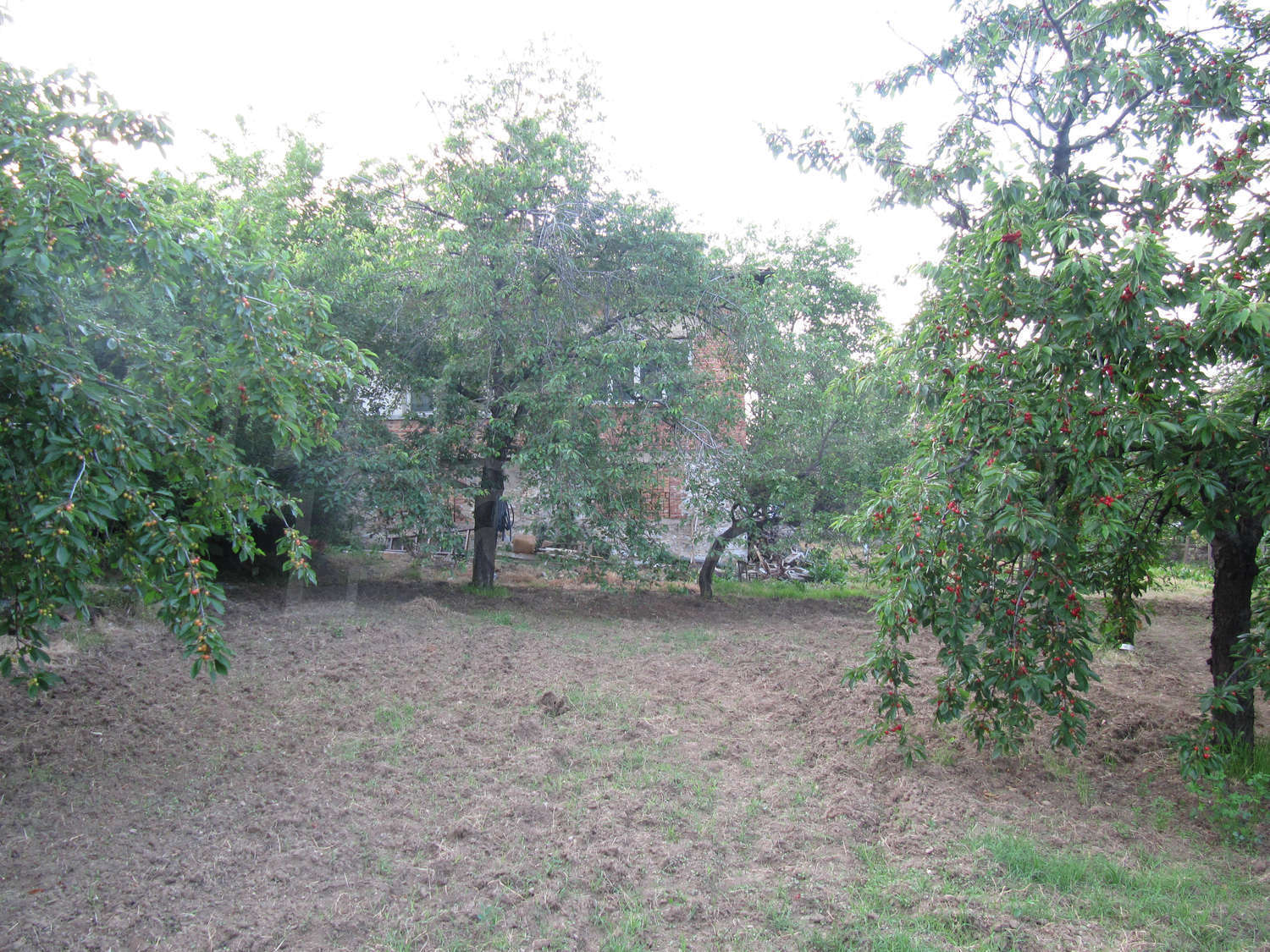 Gallery Picture 40