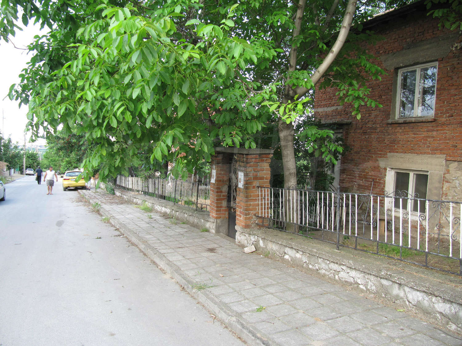 Gallery Picture 45