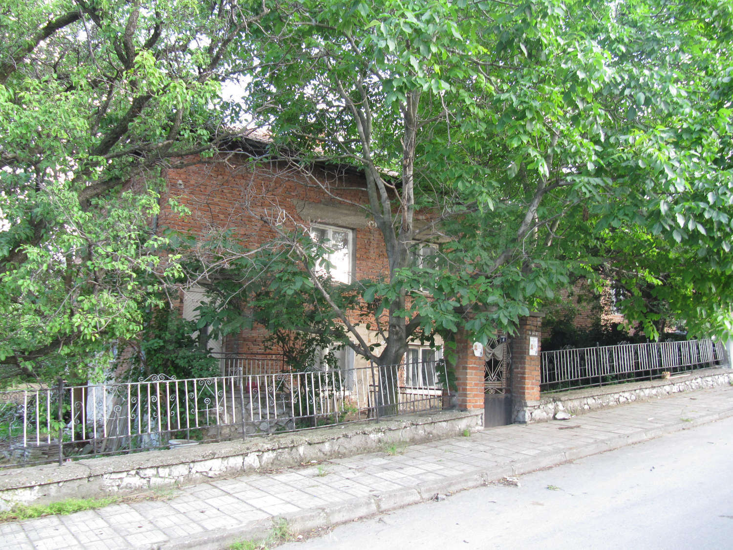Gallery Picture 47