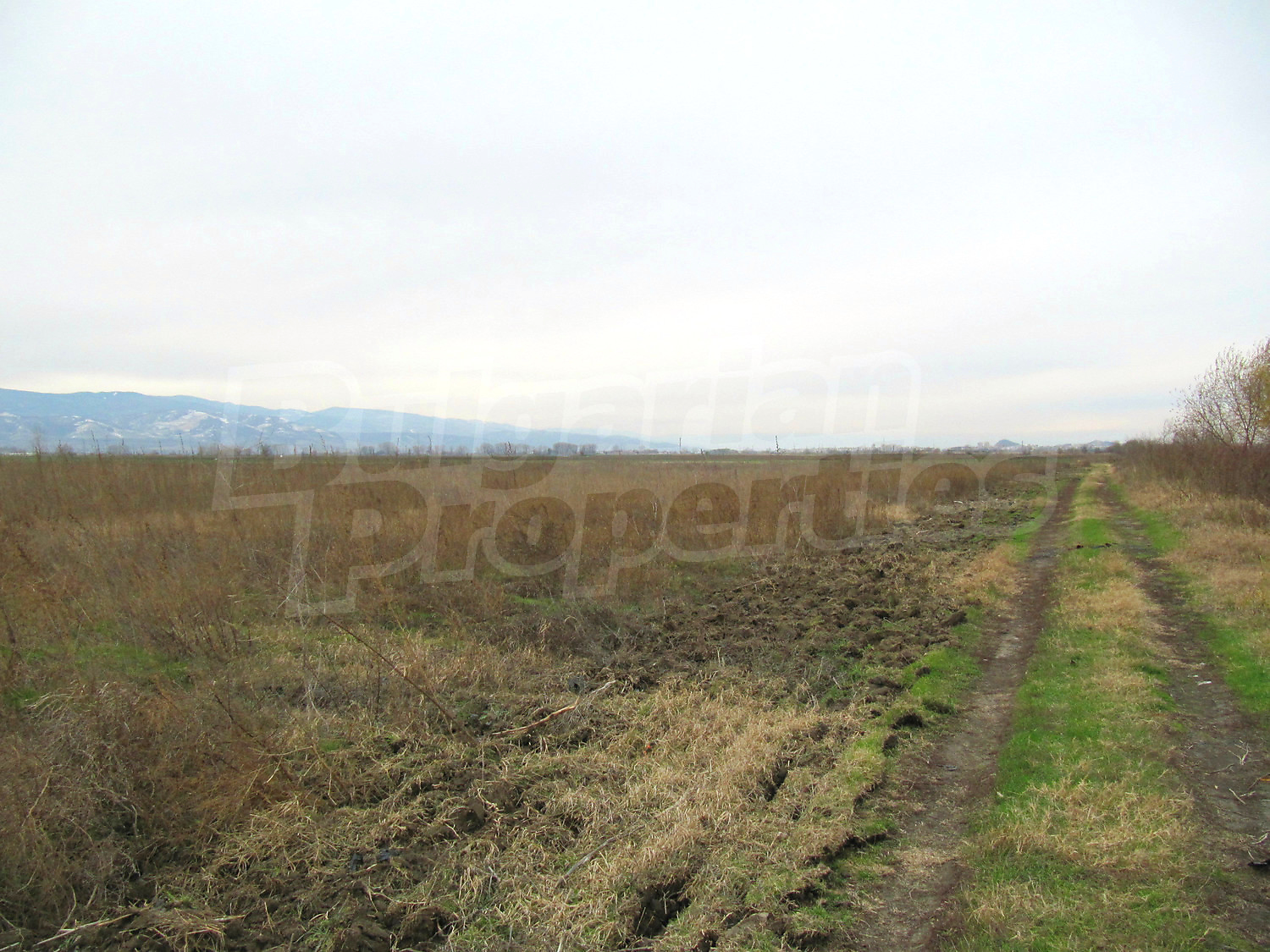 Gallery Picture 22