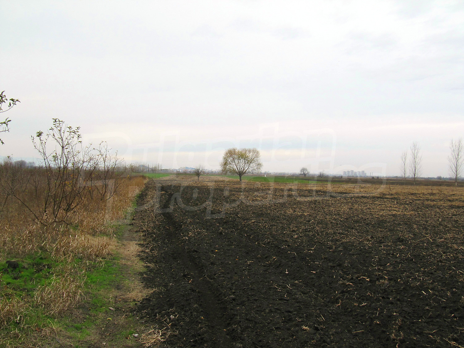 Gallery Picture 5