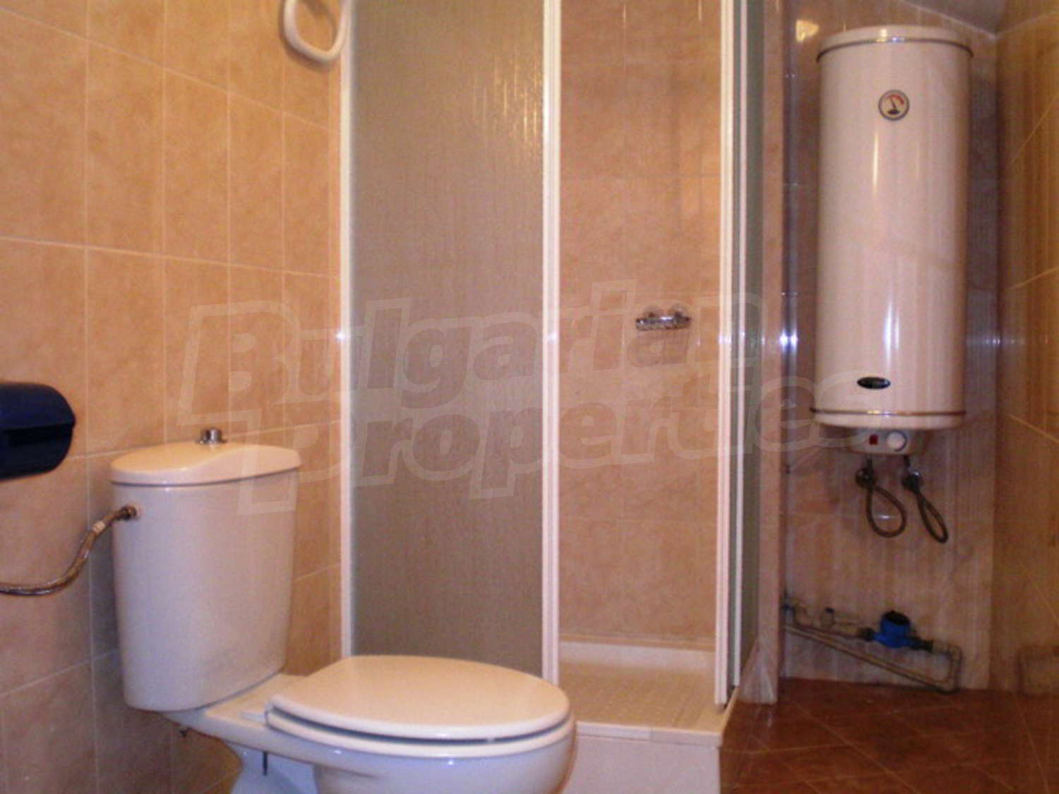 Gallery Picture 12