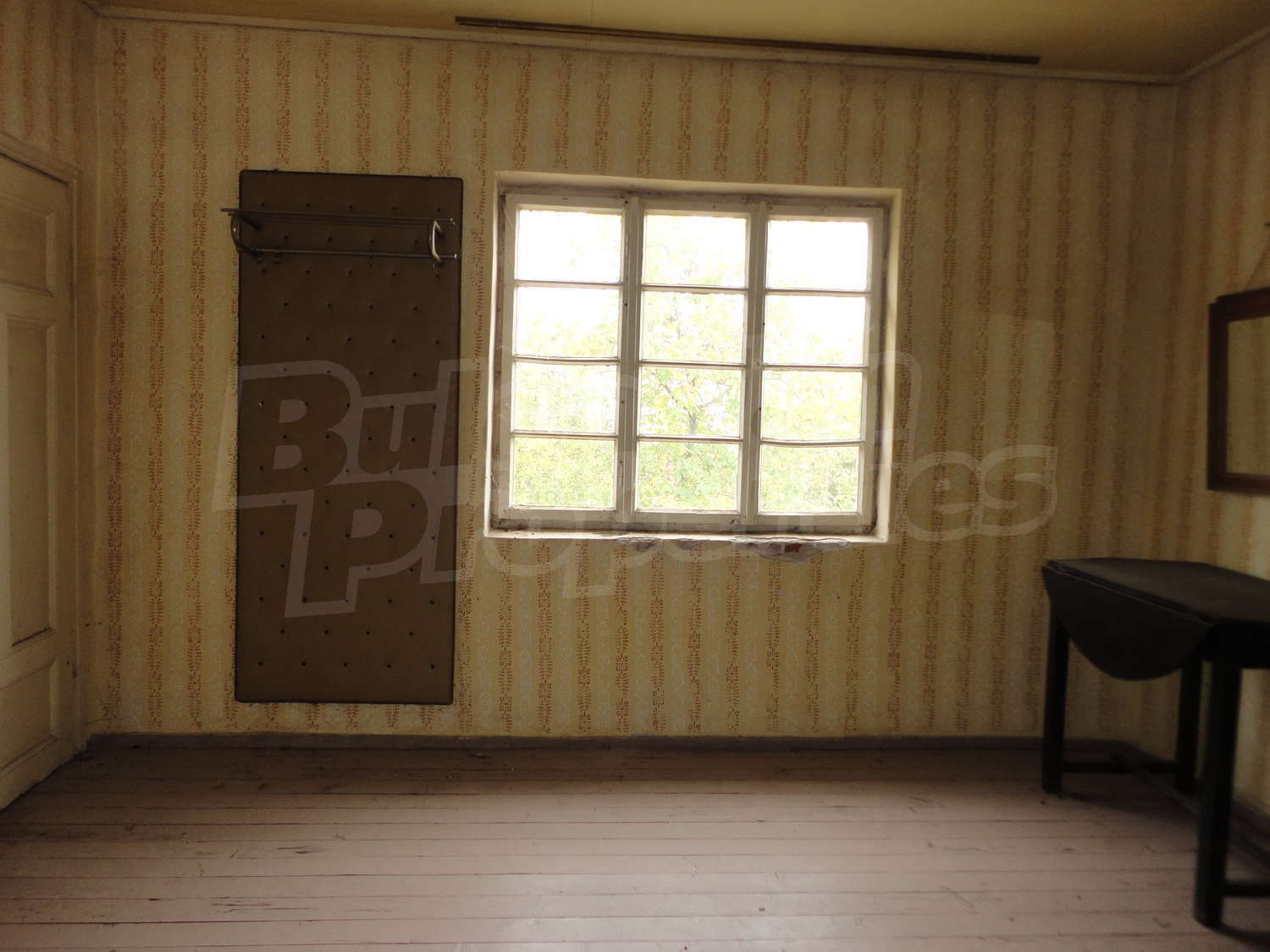 Gallery Picture 17