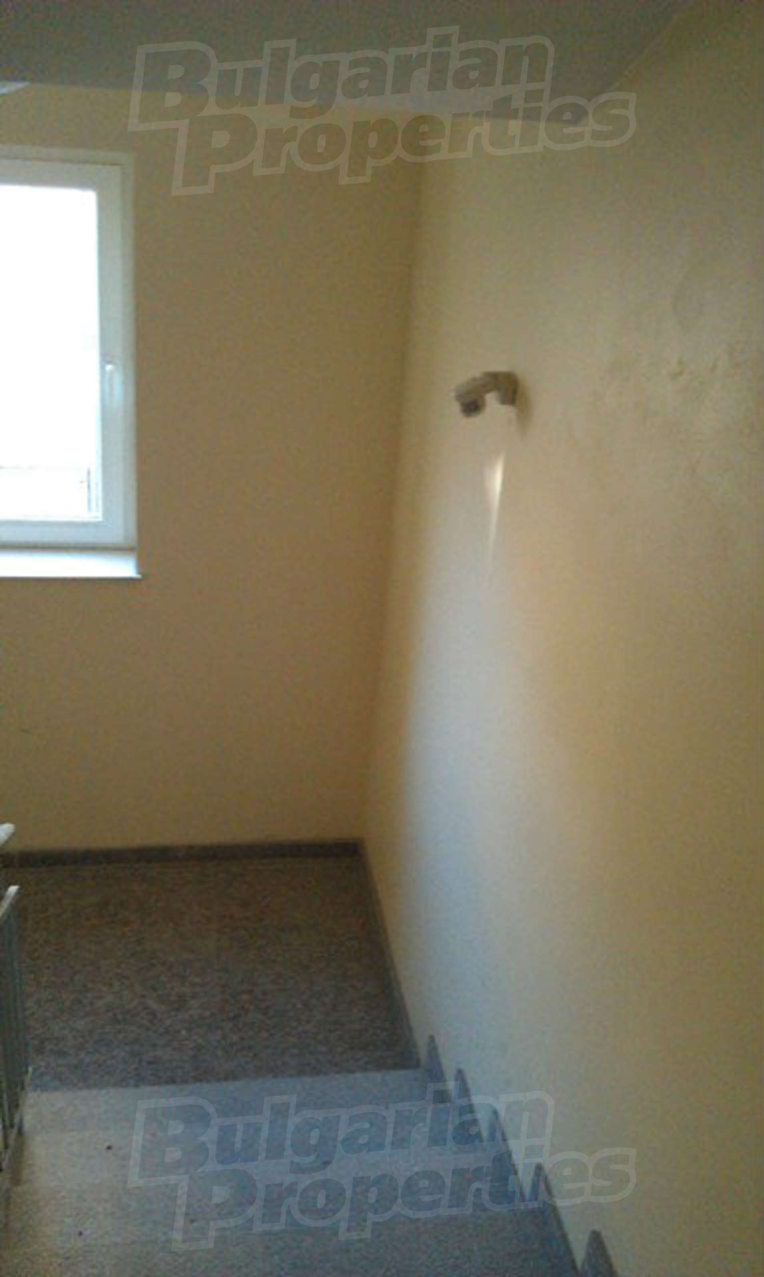 Gallery Picture 16